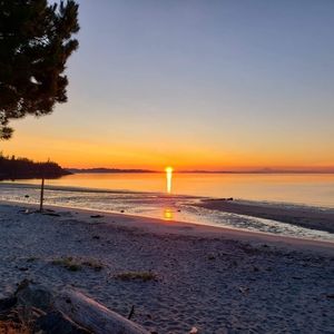 Meet your Posher, Liza